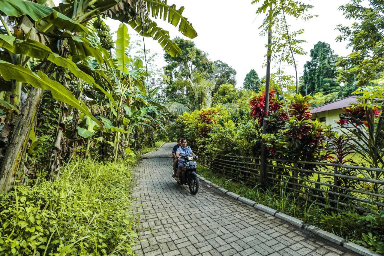 The Village Bunaken Exterior foto